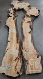 Wood Slabs de 4 especies